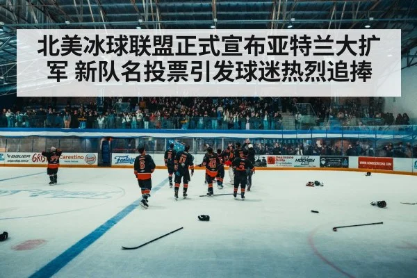北美冰球联盟正式宣布亚特兰大扩军 新队名投票引发球迷热烈追捧